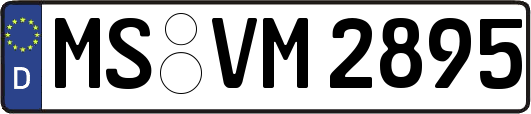 MS-VM2895
