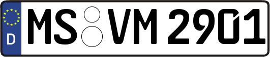 MS-VM2901