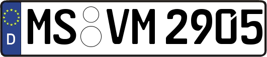 MS-VM2905