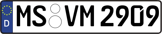 MS-VM2909