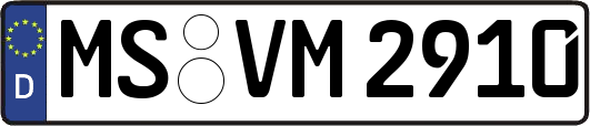 MS-VM2910