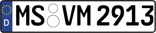 MS-VM2913