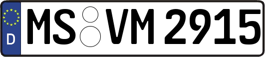 MS-VM2915