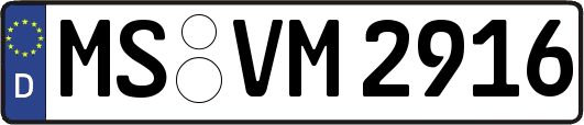 MS-VM2916