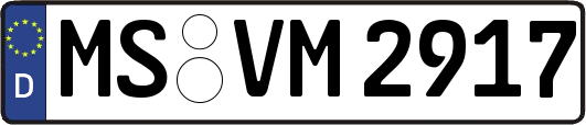 MS-VM2917