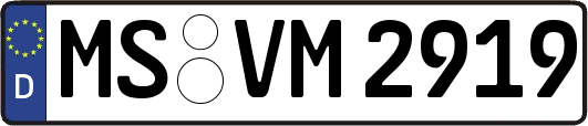 MS-VM2919