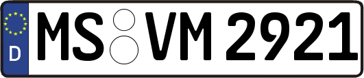 MS-VM2921