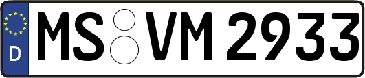 MS-VM2933