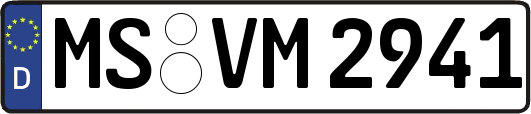 MS-VM2941