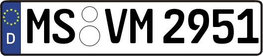 MS-VM2951