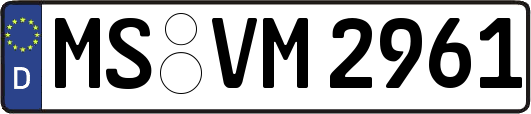 MS-VM2961