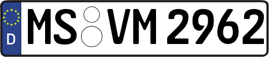 MS-VM2962