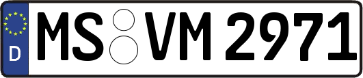 MS-VM2971