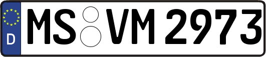MS-VM2973