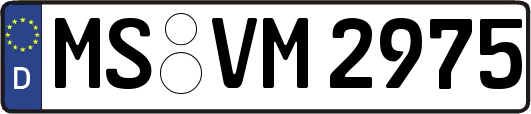 MS-VM2975
