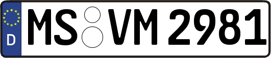 MS-VM2981