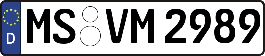 MS-VM2989