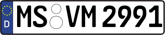 MS-VM2991