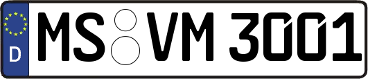 MS-VM3001