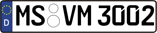 MS-VM3002