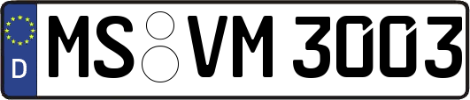 MS-VM3003