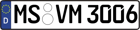 MS-VM3006