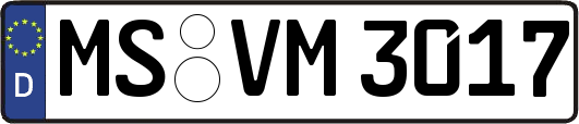 MS-VM3017