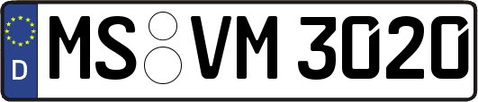 MS-VM3020