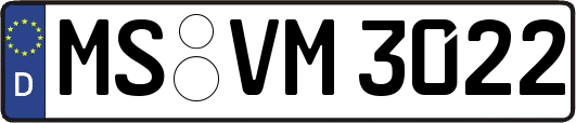 MS-VM3022