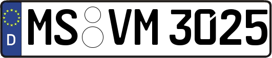 MS-VM3025