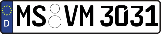 MS-VM3031