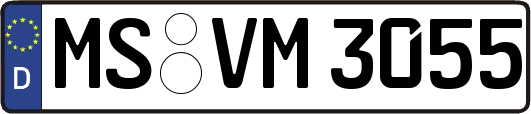 MS-VM3055