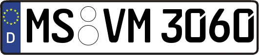 MS-VM3060