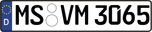 MS-VM3065