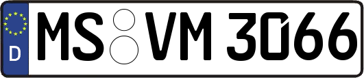 MS-VM3066