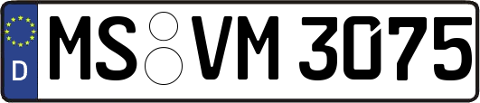 MS-VM3075