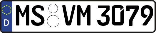 MS-VM3079