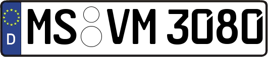 MS-VM3080
