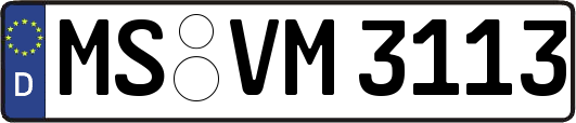 MS-VM3113
