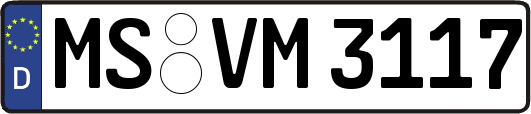 MS-VM3117