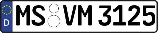 MS-VM3125