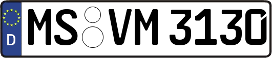 MS-VM3130