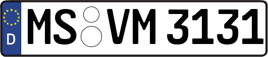 MS-VM3131