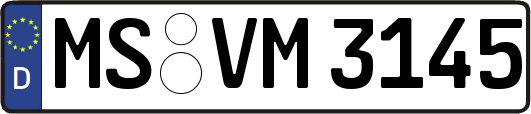MS-VM3145