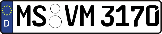 MS-VM3170
