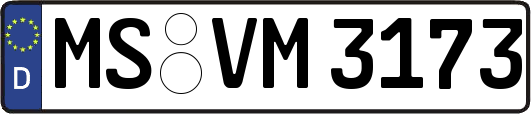 MS-VM3173