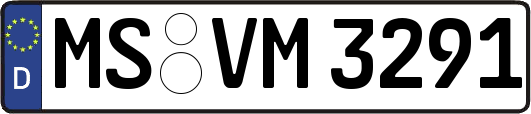 MS-VM3291