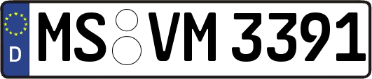 MS-VM3391