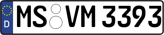 MS-VM3393