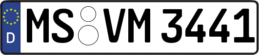 MS-VM3441